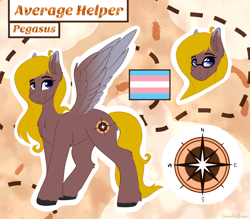 Size: 4000x3500 | Tagged: safe, artist:monsoonvisionz, derpibooru import, oc, oc only, oc:average helper, pegasus, pony, pegasus oc, pride, pride flag, reference sheet, solo, transgender, transgender oc, transgender pride flag