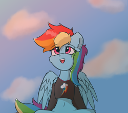 Size: 1700x1500 | Tagged: safe, artist:hcl, derpibooru import, rainbow dash, pegasus, pony, g4, belly, belly button, cheek fluff, clothes, cloud, female, mare, open mouth, sky, solo