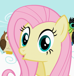 Size: 1064x1080 | Tagged: safe, derpibooru import, screencap, fluttershy, bird, owl, pegasus, toucan, g4, may the best pet win, :o, cloud, cropped, cute, female, mare, onomatopoeia, oooooh, open mouth, shyabetes, sound effects