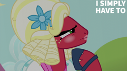 Size: 2000x1125 | Tagged: safe, derpibooru import, edit, edited screencap, editor:quoterific, screencap, big macintosh, brotherhooves social, g4, crossdressing, orchard blossom, solo