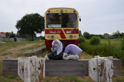 Size: 6000x4000 | Tagged: safe, derpibooru import, maud pie, irl, photo, plushie, poland, train, train station, wood