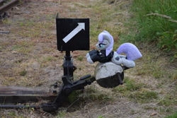 Size: 6000x4000 | Tagged: safe, derpibooru import, maud pie, irl, photo, plushie, train station