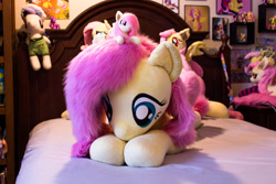 Size: 2500x1667 | Tagged: safe, artist:natureshy, artist:qtpony, derpibooru import, fluttershy, bat pony, pony, bat ponified, flutterbat, irl, multeity, photo, plushie, race swap