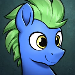 Size: 2048x2048 | Tagged: safe, artist:selenophile, derpibooru import, oc, oc only, oc:still shuffle, earth pony, pony, bust, male, portrait, signature, smiling, solo, stallion