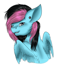 Size: 2160x2400 | Tagged: safe, artist:crazyaniknowit, derpibooru import, oc, oc:rock candy, pegasus, pony, bust, female, mare, portrait, simple background, solo, transparent background