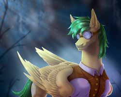 Size: 2146x1717 | Tagged: safe, artist:eville6, derpibooru import, oc, oc only, oc:bronycars, pegasus, pony, aviator goggles, clothes, commission, ear fluff, ears, goggles, male, shirt, solo, stallion, vest, ych result