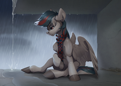 Size: 3676x2607 | Tagged: safe, artist:mithriss, derpibooru import, oc, oc only, pegasus, pony, clothes, female, mare, overcast, rain, scarf, sitting, solo, water