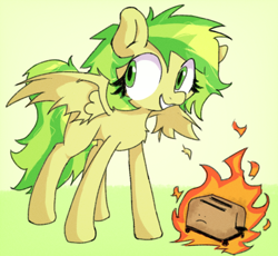 Size: 3086x2842 | Tagged: safe, artist:foxtrnal, derpibooru import, oc, oc only, oc:wooden toaster, pegasus, pony, eyelashes, fire, green eyes, pegasus oc, smiling, solo, toaster