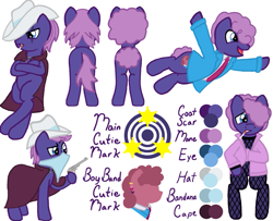 Size: 1015x823 | Tagged: safe, derpibooru import, oc, oc only, earth pony, pony, reference sheet