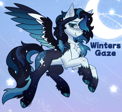 Size: 2512x2309 | Tagged: safe, artist:aura rhinestone, derpibooru import, oc, oc only, oc:winters gaze, pegasus, concave belly, ear fluff, ears, female, fluffy, freckles, gradient background, jewelry, mare, moon, necklace, pegasus oc, reference sheet, snow, solo, stars, winter