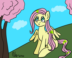 Size: 1241x1000 | Tagged: safe, artist:wrath-marionphauna, derpibooru import, fluttershy, pegasus, g4, :o, cherry blossoms, cloud, flower, flower blossom, open mouth, solo