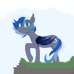 Size: 2048x2048 | Tagged: safe, artist:_luckyy, derpibooru import, oc, oc only, oc:nightdawn, bat pony, bat pony oc, bat wings, blue eyes, blue mane, blue wings, looking at you, simple background, smiling