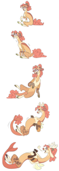 Size: 1200x3444 | Tagged: safe, artist:baylard, derpibooru import, oc, oc only, oc:mascarpone pie, draconequus, earth pony, pony, breath, bucktooth, disguised draconequus, draconequus oc, female, glasses, high res, lying down, mare, offspring, on back, parent:cheese sandwich, parent:pinkie pie, parents:cheesepie, pony to draconequus, round glasses, simple background, sitting, solo, sweat, sweatdrop, transformation, transformation sequence, white background