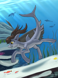 Size: 2250x3000 | Tagged: safe, artist:dash wang, derpibooru import, oc, oc only, dolphin, fish, original species, shark, shark pony, tortoise, turtle, bubble, coral, countershading, crepuscular rays, dorsal fin, eye clipping through hair, eyebrow slit, eyebrows, eyebrows visible through hair, female, fin, fins, fish tail, flowing mane, flowing tail, gills, high res, oc name needed, ocean, open mouth, open smile, scales, seaweed, shark tail, shark teeth, signature, smiling, solo, sunlight, swimming, tail, underwater, water