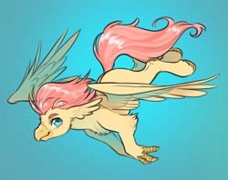 Size: 2100x1659 | Tagged: safe, artist:opalacorn, derpibooru import, oc, oc only, oc:typhoon swirl, classical hippogriff, hippogriff, fanfic:set sail, blue background, claws, cyan eyes, flying, gradient background, male, not fluttershy, pink hair, pink tail, simple background, tail, yellow skin