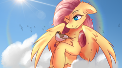 Size: 2578x1450 | Tagged: safe, artist:divori, derpibooru import, fluttershy, bird, pegasus, pony, g4, cheek fluff, chest fluff, cloud, cute, ear fluff, ears, female, floppy ears, fluffy, leg fluff, mare, one eye closed, rainbow, raised hoof, raised leg, shoulder fluff, shyabetes, sitting, sky, smiling, solo, spread wings, sun, wing fluff, wings, wink