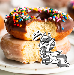 Size: 1087x1101 | Tagged: safe, artist:opalacorn, derpibooru import, oc, oc only, pegasus, pony, clothes, descriptive noise, donut, eating, female, food, horns, irl, lidded eyes, mare, micro, photo, ponies in food, ponies in real life, sitting, socks, solo, striped socks, tiny, tiny ponies