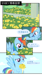 Size: 1080x1920 | Tagged: safe, artist:broken colors, derpibooru import, rainbow dash, pegasus, pony, g4, chinese, female, flower, mare, solo