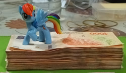 Size: 1175x680 | Tagged: safe, artist:dingopatagonico, derpibooru import, rainbow dash, pegasus, pony, g4, argentina, money, peso, photo, solo