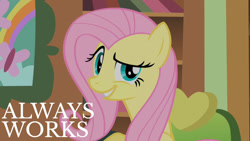 Size: 1280x720 | Tagged: safe, derpibooru import, edit, edited screencap, editor:quoterific, screencap, fluttershy, pegasus, pony, a bird in the hoof, g4, season 1, always works, breaking the fourth wall, dreamworks face, female, fluttershy's cottage, fluttershy's cottage (interior), looking at you, mare, solo