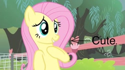 Size: 800x450 | Tagged: safe, derpibooru import, edit, edited screencap, screencap, fluttershy, pegasus, pony, filli vanilli, g4, season 4, caption arrow, cute, female, mare, shyabetes, solo, text, tree, truth