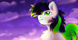 Size: 4200x2200 | Tagged: safe, derpibooru import, oc, oc only, pegasus, pony, bust, male, oc pegasus, portrait, stallion, sunset