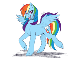 Size: 1400x1050 | Tagged: safe, artist:shessy-lai, derpibooru import, rainbow dash, pegasus, pony, g4, looking at you, open mouth, simple background, solo, white background