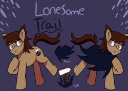 Size: 2048x1462 | Tagged: safe, artist:shon351, derpibooru import, oc, oc only, oc:lonesome trail, earth pony, pony, cloak, clothes, cutie mark, glasses, male, reference sheet