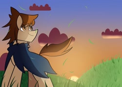 Size: 2048x1469 | Tagged: safe, artist:shon351, derpibooru import, oc, oc only, oc:lonesome trail, earth pony, pony, cel shading, cloak, clothes, cloud, grass, hill, shading, smiling, solo, sunset