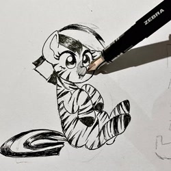 Size: 3024x3024 | Tagged: safe, artist:d7unlimited, derpibooru import, zebra, boop, female, mare, nose wrinkle, scrunchy face, simple background, solo, traditional art, white background