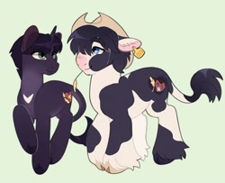 Size: 2403x1950 | Tagged: safe, artist:lainseii, derpibooru import, part of a set, classical unicorn, earth pony, pony, unicorn, bangs, barley (warrior cats), big ears, black hooves, black mane, black tail, blue eyes, chest fluff, chest marking, cloven hooves, coat markings, colored belly, colored eyebrows, colored hooves, colored pinnae, cowboy hat, duo, duo male, ear fluff, ear tag, ears, eye clipping through hair, eyebrows, eyebrows visible through hair, facial markings, fetlock tuft, floppy ears, gay, green background, green eyes, hat, heart, heart mark, hooves, horn, leg markings, leonine tail, lidded eyes, looking at each other, looking at someone, male, mismatched hooves, multicolored hooves, pale belly, physique difference, ponified, profile, purple coat, purple mane, purple tail, raised hoof, raised leg, ravenbarley, ravenpaw, shiny mane, shiny tail, short mane, simple background, smiling, smiling at each other, snip (coat marking), species swap, splotches, standing on three hooves, stetson, straw in mouth, tail, tail markings, thick eyebrows, three quarter view, two toned coat, two toned mane, two toned tail, unicorn horn, unshorn fetlocks, wall of tags, warrior cats