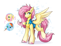 Size: 2988x2234 | Tagged: safe, artist:buvanybu, derpibooru import, fluttershy, rainbow dash, pegasus, pony, clothes, cutie mark swap, duo, duo female, female, mare, personality swap, raised leg, spread wings, swapped cutie marks, uniform, wings, wonderbolt trainee uniform