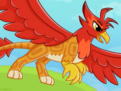 Size: 1460x1100 | Tagged: safe, artist:cyadical, derpibooru import, oc, oc only, oc:hotrod(griffon), griffon, beak, digital art, feathered wings, griffon oc, quadrupedal, red feathers, running, sky, solo, spread wings, wings