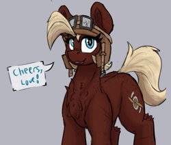 Size: 927x785 | Tagged: safe, artist:reddthebat, derpibooru import, oc, oc only, oc:saint propwood, earth pony, pony, aviator goggles, aviator hat, butt freckles, chest fluff, dialogue, female, freckles, goggles, goggles on head, gray background, hat, hock fluff, mare, shoulder freckles, simple background, solo, speech bubble, talking to viewer