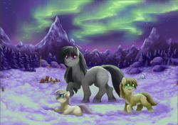 Size: 1256x885 | Tagged: safe, artist:snspony, derpibooru import, oc, oc only, pony, aurora, female, filly, foal, group, igloo, mountain, outdoors, plushie, smiling, snow, trio focus, winter, yakutian horse