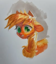 Size: 952x1080 | Tagged: safe, artist:vensual99, derpibooru import, applejack, earth pony, pony, g4, applejack's hat, clothes, cowboy hat, female, hat, mare, solo, traditional art