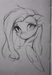 Size: 1429x2048 | Tagged: safe, artist:vensual99, derpibooru import, fluttershy, pegasus, pony, g4, black and white, blushing, bust, chest fluff, female, grayscale, mare, monochrome, sketch, solo, traditional art