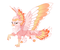 Size: 4800x4000 | Tagged: safe, artist:gigason, derpibooru import, oc, oc only, oc:gold beak, hippogriff, g4, beak, bipedal, chest fluff, coat markings, colored chest fluff, colored claws, colored eyebrows, colored hooves, colored legs, colored wings, colored wingtips, commission, ear fluff, ears, eye markings, eyelashes, facial markings, feathered tail, female, fetlock tuft, frown, golden eyes, gradient beak, gradient legs, gradient wings, hooves, leg fluff, looking back, multicolored tail, multicolored wings, obtrusive watermark, offspring, orange hooves, parent:oc:secret tarry, parent:queen novo, parents:canon x oc, pink coat, raised claw, raised leg, shiny hooves, simple background, socks (coat marking), solo, spread wings, tail, transparent background, watermark, wings