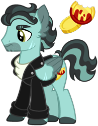 Size: 1269x1623 | Tagged: safe, artist:strawberry-spritz, derpibooru import, oc, pegasus, pony, clothes, jacket, magical gay spawn, male, offspring, parent:doctor caballeron, parent:wind rider, simple background, solo, stallion, transparent background