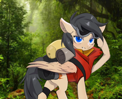 Size: 2853x2311 | Tagged: safe, artist:sk, derpibooru import, oc, oc only, oc:steve, pegasus, pony, explorer, forest, hiking, nature, real life background, sleeping bag, solo, tree