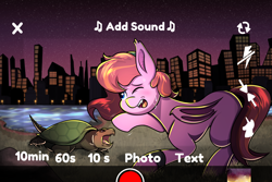 Size: 3000x2000 | Tagged: safe, artist:littletigressda, derpibooru import, oc, oc only, bat pony, pony, turtle, bat pony oc, city, cityscape, solo, water