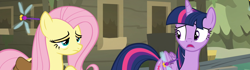 Size: 3854x1080 | Tagged: safe, derpibooru import, edit, edited screencap, screencap, fluttershy, twilight sparkle, twilight sparkle (alicorn), alicorn, dragonfly, insect, pegasus, pony, a health of information, g4, bag, composite screencap, duo, duo female, female, hayseed swamp, hut, saddle bag, tired