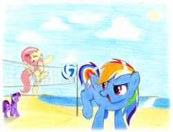 Size: 6609x5046 | Tagged: safe, artist:mizhisha, derpibooru import, fluttershy, rainbow dash, twilight sparkle, unicorn twilight, pegasus, pony, unicorn, g4, absurd resolution, beach, beach volleyball, ears, female, floppy ears, flying, mare, scared, traditional art, trio, trio female