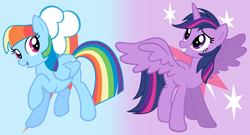 Size: 2352x1272 | Tagged: safe, artist:cmors12, derpibooru import, rainbow dash, twilight sparkle, twilight sparkle (alicorn), alicorn, pegasus, pony, g4, alternate hairstyle, cutie mark, cutie mark background, duo, duo female, female, gradient background, mane swap, manebow sparkle