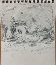 Size: 1768x2048 | Tagged: safe, artist:g5p7r, derpibooru import, fluttershy, butterfly, pegasus, pony, g4, black and white, female, grayscale, lying down, mare, monochrome, prone, sketch, solo, traditional art