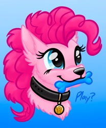 Size: 1605x1933 | Tagged: safe, artist:tygerthezebra, derpibooru import, pinkie pie, dog, g4, bust, collar, cute, diapinkes, dog toy, dogified, female, gradient background, mare, mouth hold, pet tag, portrait, puppy pie, smiling, solo, species swap