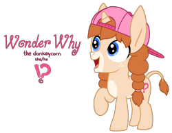 Size: 1754x1363 | Tagged: safe, artist:fillyfool, derpibooru import, oc, oc only, oc:wonder why, donkey, hybrid, pony, unicorn, androgynous, backwards ballcap, baseball cap, cap, cutie mark, donkey ears, donkey oc, exclamation point, facial markings, foal, freckles, hat, horn, hybrid oc, interrobang, mealy mouth (coat marking), pale muzzle, question mark, reference sheet, simple background, solo, tomboy, transparent background, unicorn oc