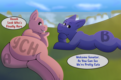 Size: 2800x1860 | Tagged: safe, artist:brushwork, derpibooru import, oc, pony, butt, commission, duo, duo male, lying down, male, plot, stallion, ych example, your character here