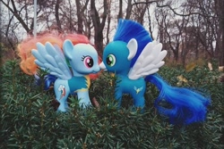 Size: 720x482 | Tagged: safe, derpibooru import, rainbow dash, soarin', pegasus, pony, female, male, mare, shipping, soarindash, stallion, straight, toy