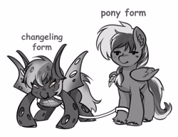 Size: 4096x3164 | Tagged: safe, artist:opalacorn, derpibooru import, oc, oc only, oc:shade demonshy, changeling, pegasus, pony, black and white, changeling oc, commission, disguise, disguised changeling, duality, frown, grayscale, harness, leash, monochrome, narrowed eyes, self changelingdox, self paradox, self ponidox, simple background, smiling, solo, unshorn fetlocks, white background, ych result